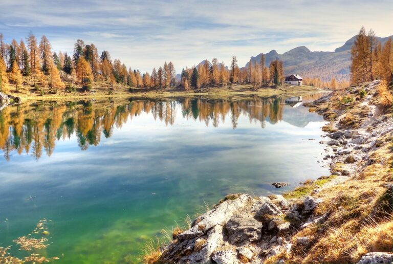 Uncovering the History of Rekshino Lake and its Surroundings