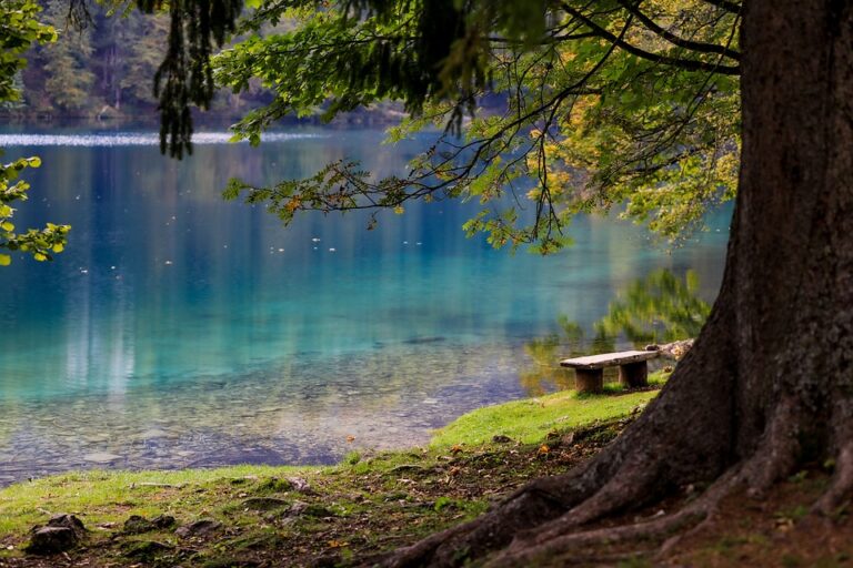 Preserving the Ecosystem of Rekshino Lake for Future Generations