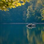 Exploring the Beauty of Rekshino Lake: A Hidden Gem in the Mountains