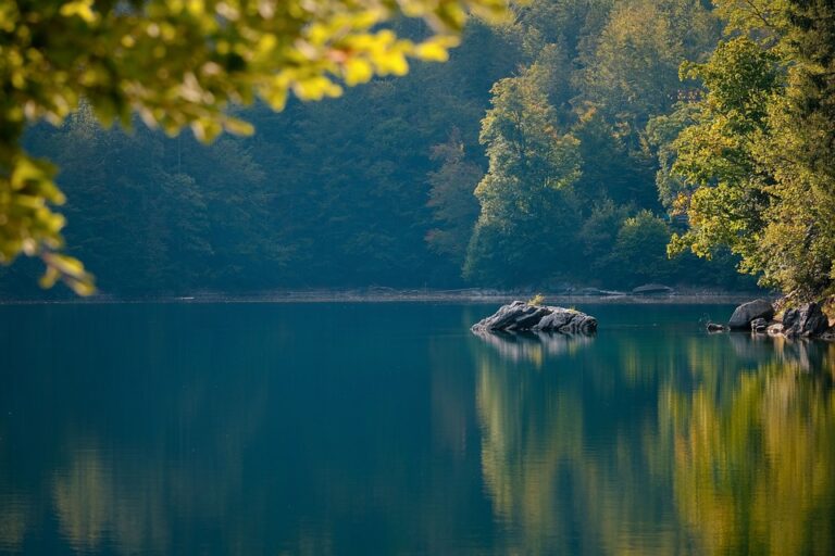 Exploring the Beauty of Rekshino Lake: A Hidden Gem in the Mountains