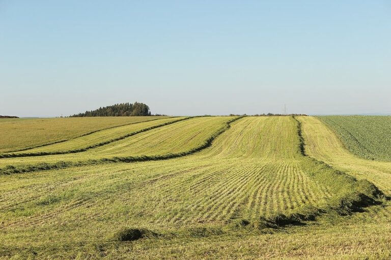 Education Initiatives in Kantaurovsky Rural Council