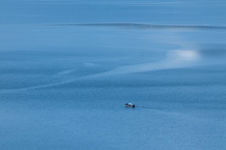 Discovering the Flora and Fauna of Rekshino Lake