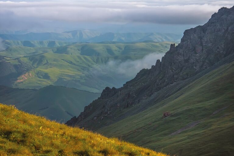 Challenges and Opportunities for Rye Farmers in Russia