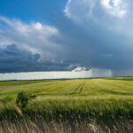 Revolutionizing Agriculture: The Rise of Rekshino Farming Practices
