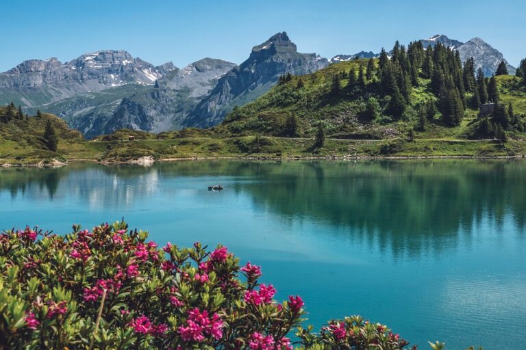 The Breathtaking Views from Rekshino Lake’s Scenic Lookout Points