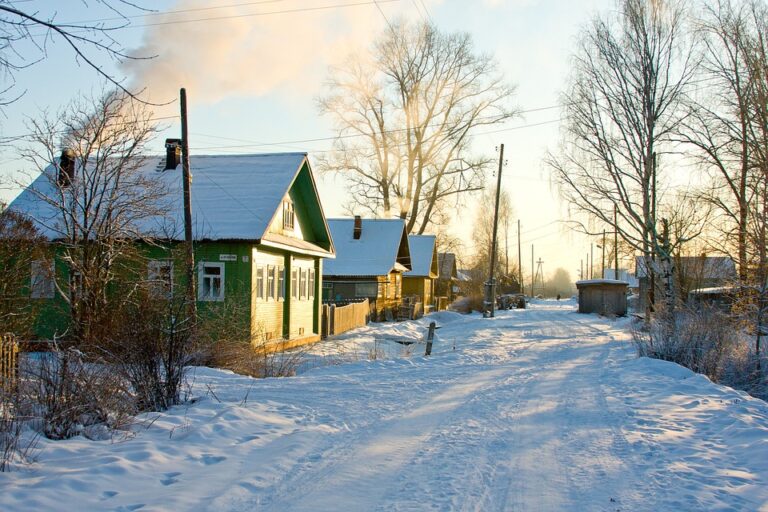 The Growing Importance of Agribusiness in Russia’s Rural Economy