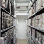 The Significance of Rekshino Archival Documents in Understanding the Past