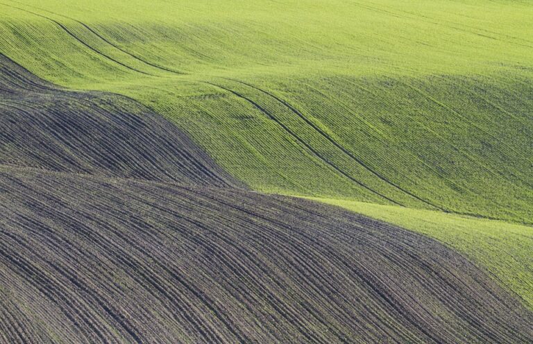 Weather Patterns and Their Impact on Plowing and Sowing in Rekshino