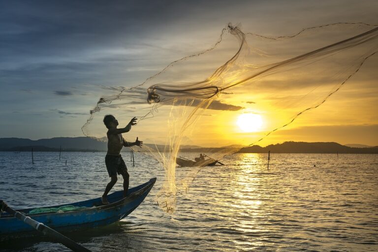 The Thrill of Catching Big Fish in Rekshino