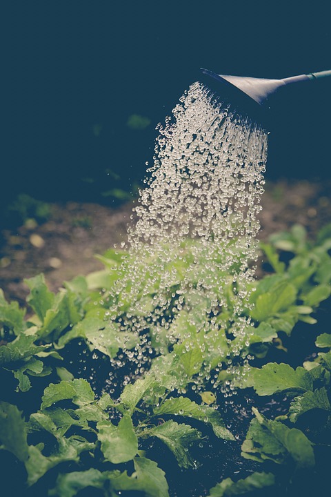 From Farm to Table: The Importance of Self-Sufficiency in Russian Villages