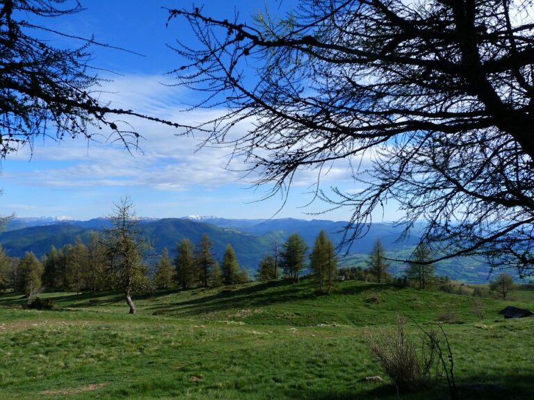 The Cultural Significance of Forest Edge Settlements