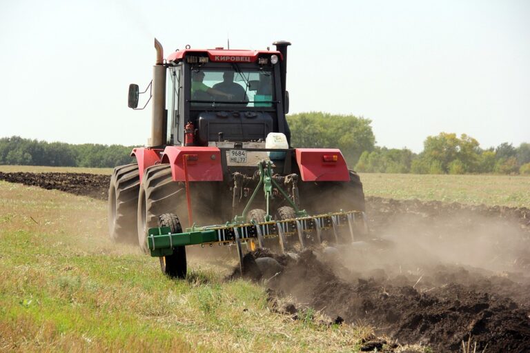 The Ancient Tradition of Plowing and Sowing in Rekshino