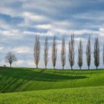 Preserving the Pristine Environment of Rekshino Landscape