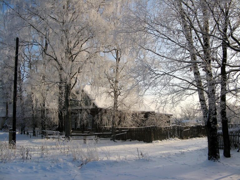 Preserving the Past: Exploring the Rich Cultural Heritage of Russian Village Life